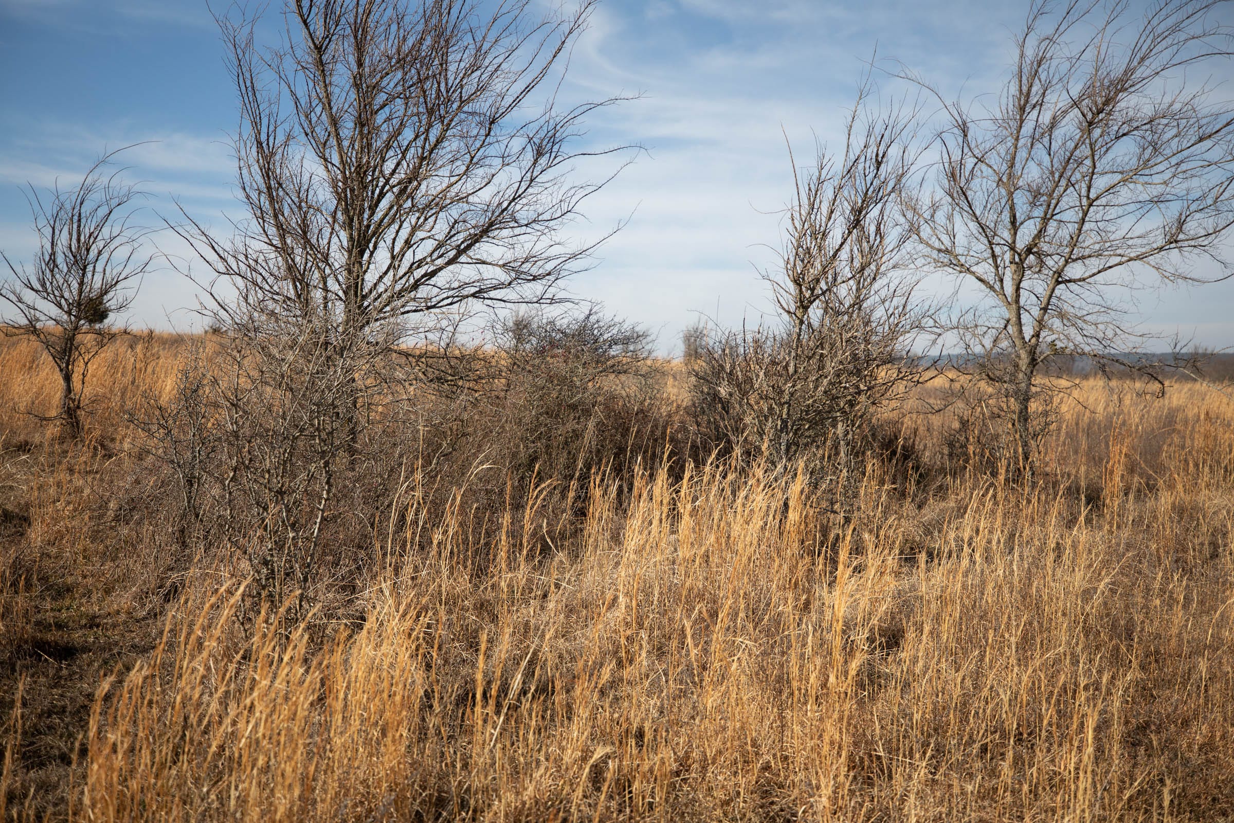 Painted Horse Tract 19 photo 10