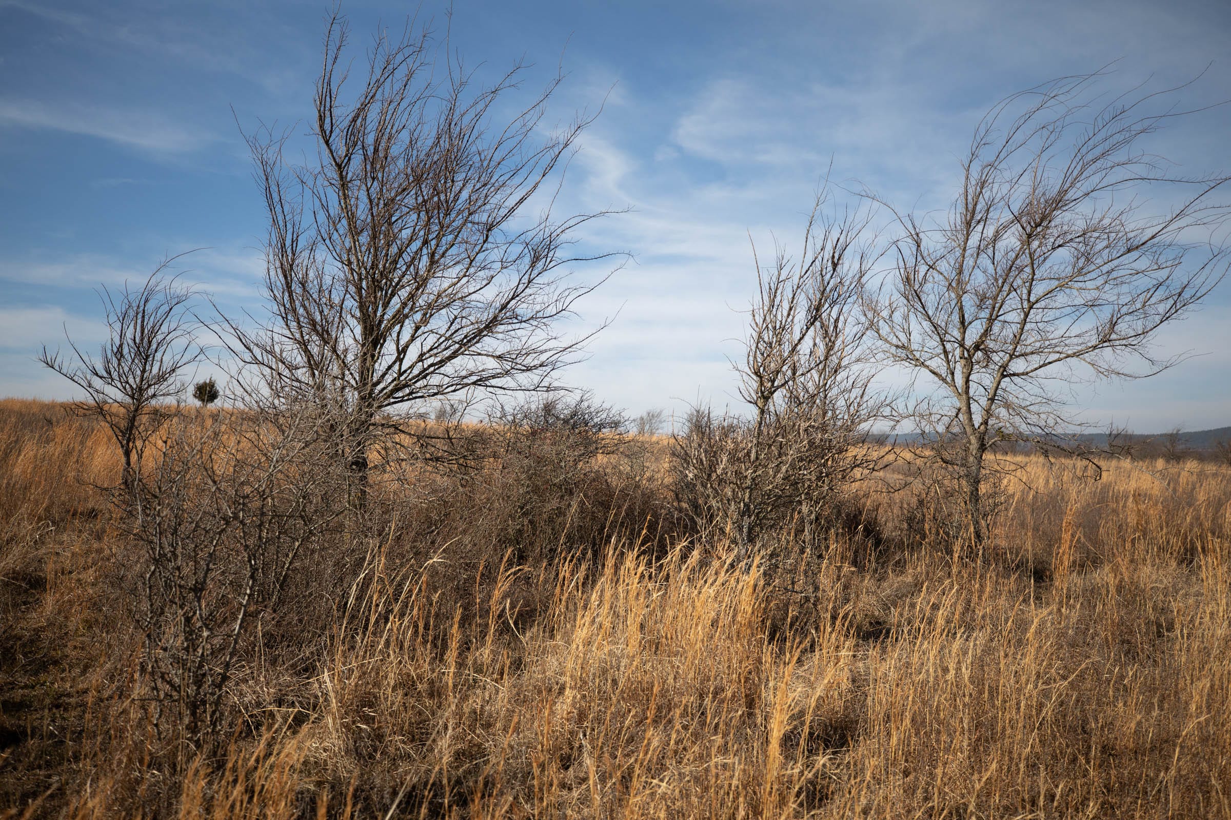 Painted Horse Tract 19 photo 12