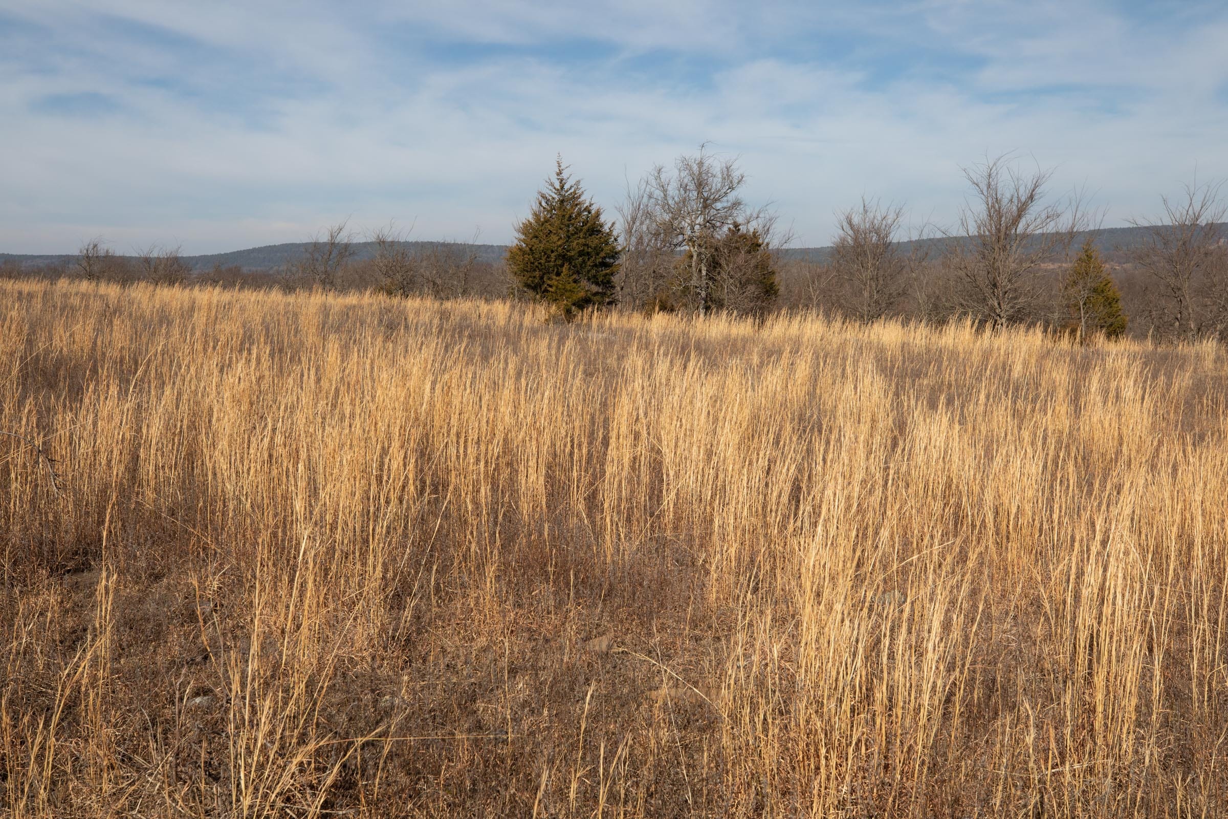 Painted Horse Tract 19 photo 9