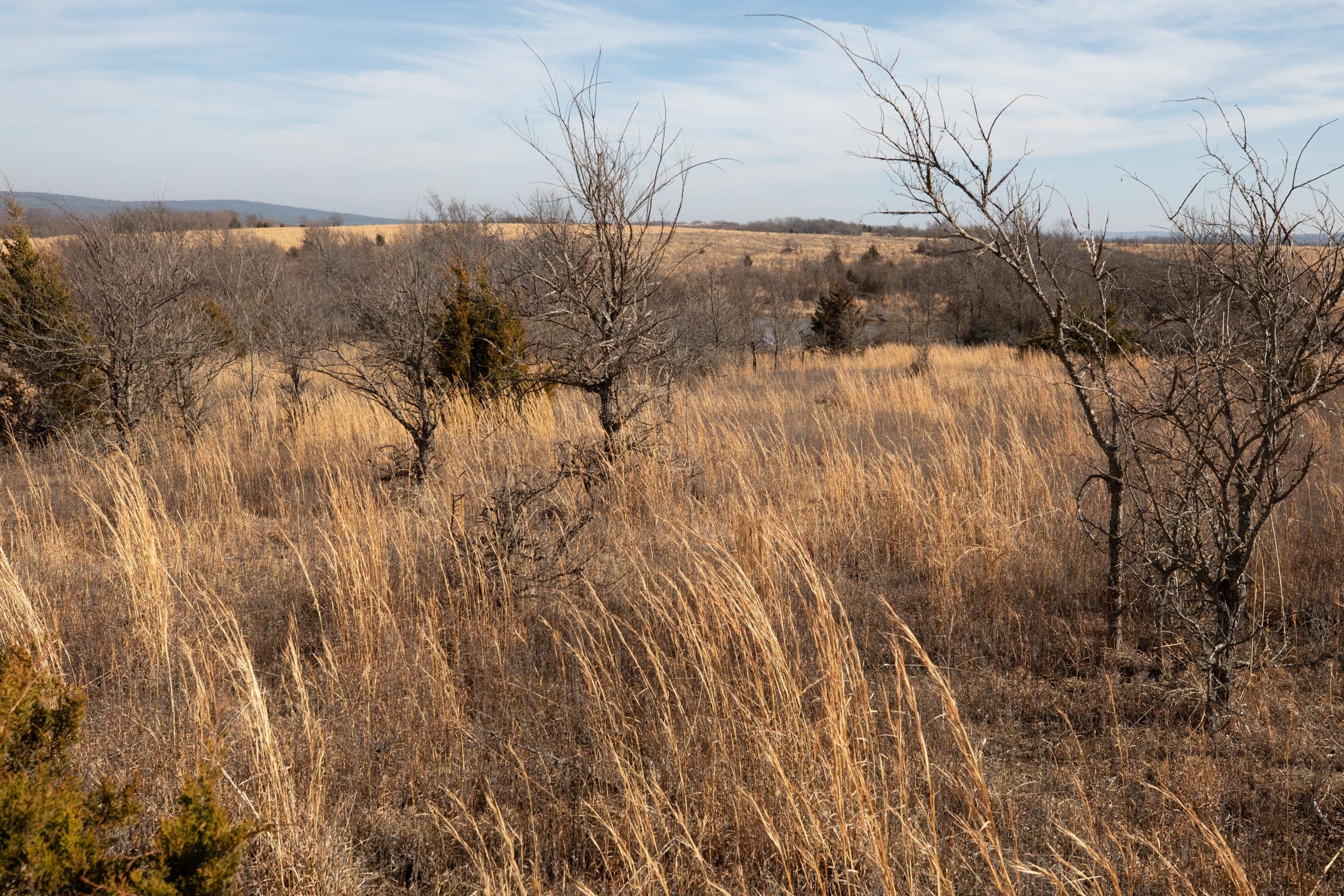 Painted Horse Tract 19 photo 4