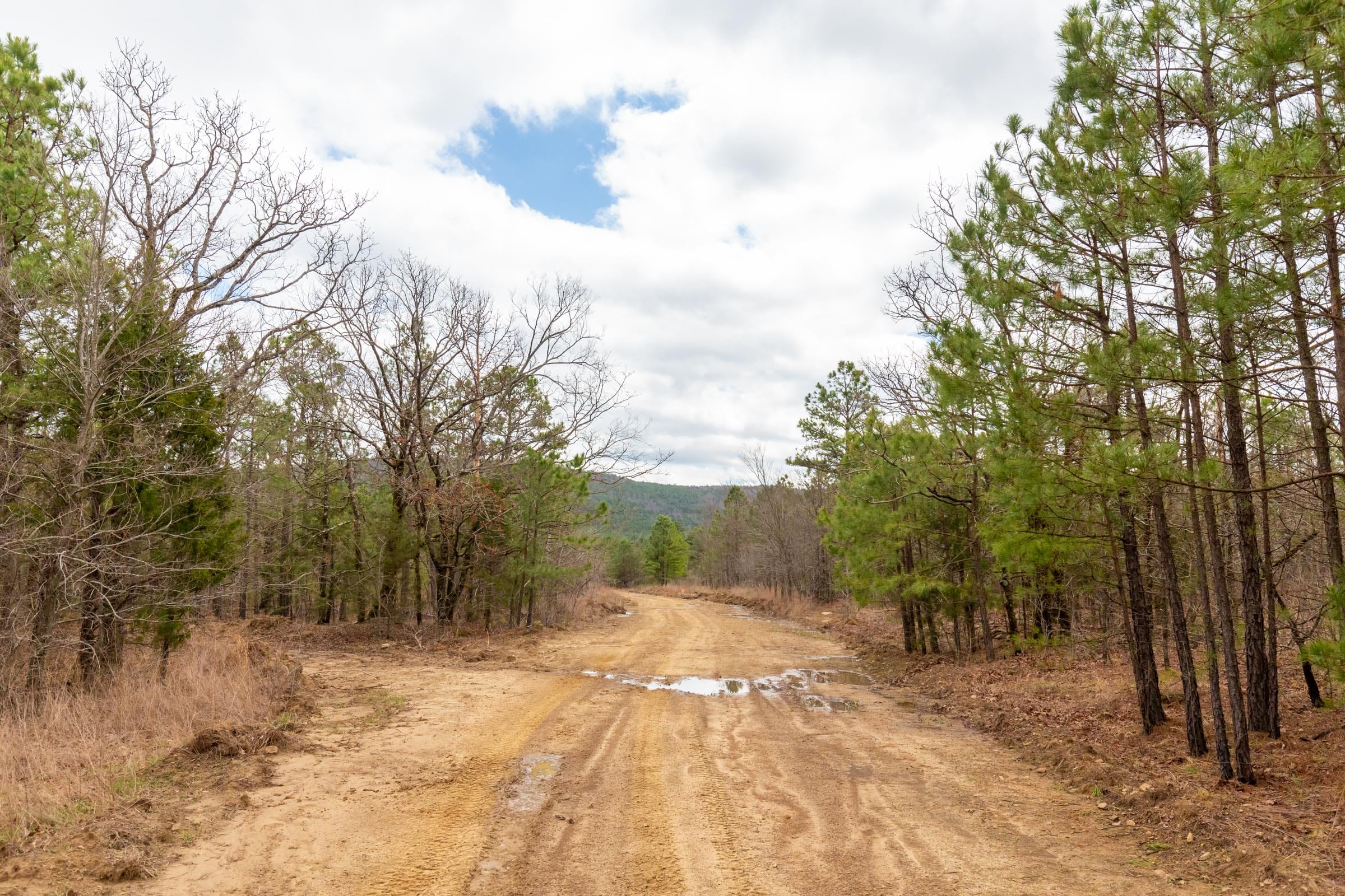 Stone Bridge Phase III Tract 215 photo 2