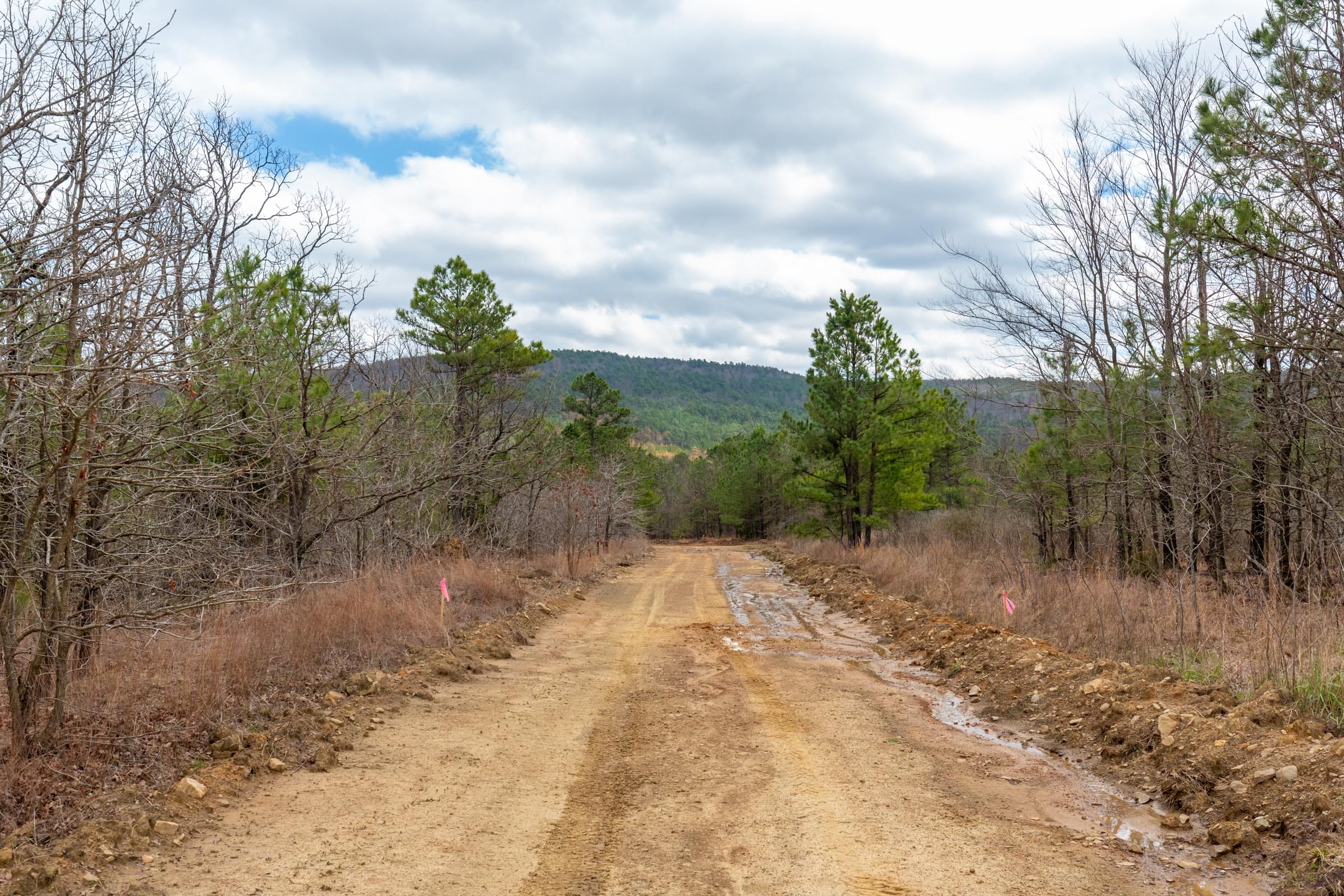 Stone Bridge Phase III Tract 215 photo 10