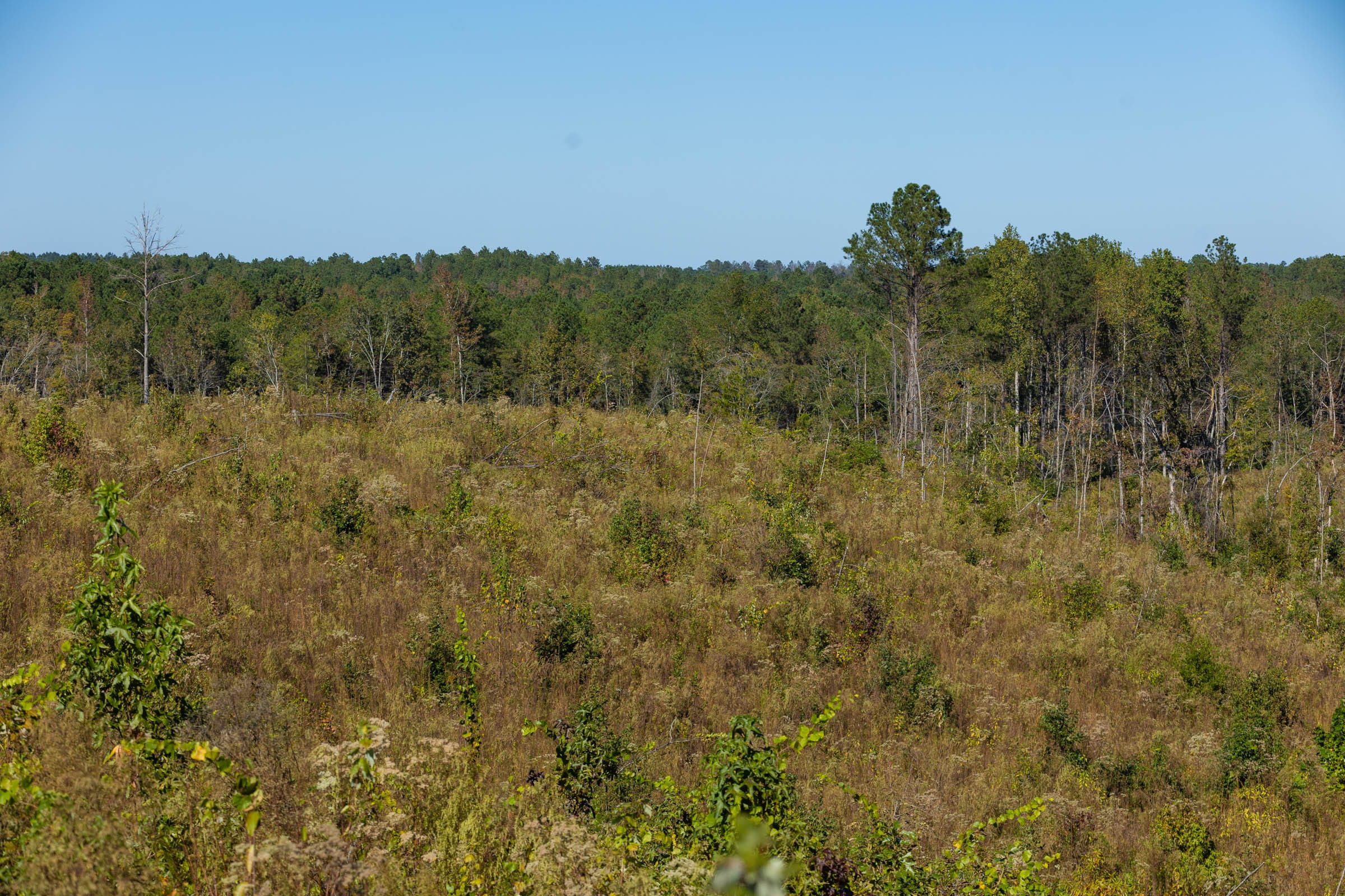 Meyer’s Ridge Tract 19 photo 19