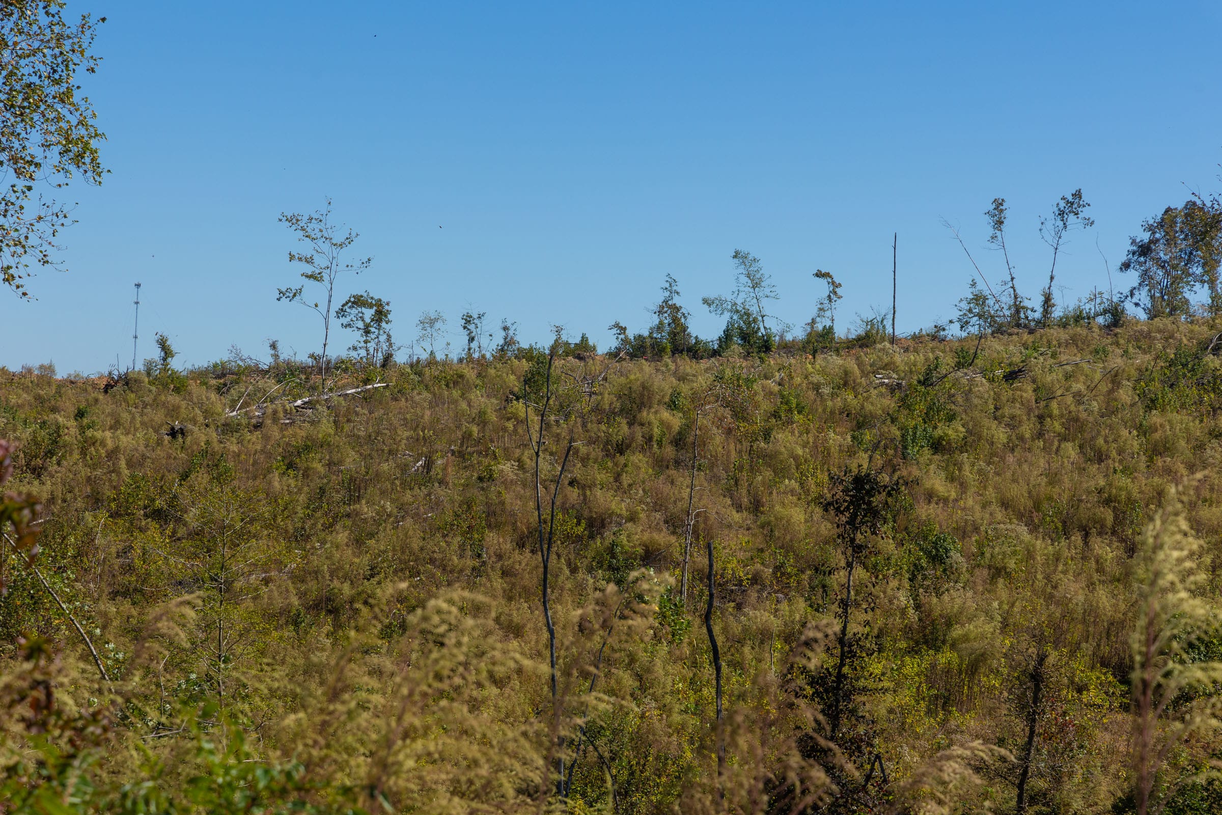 Meyer’s Ridge Tract 19 photo 14