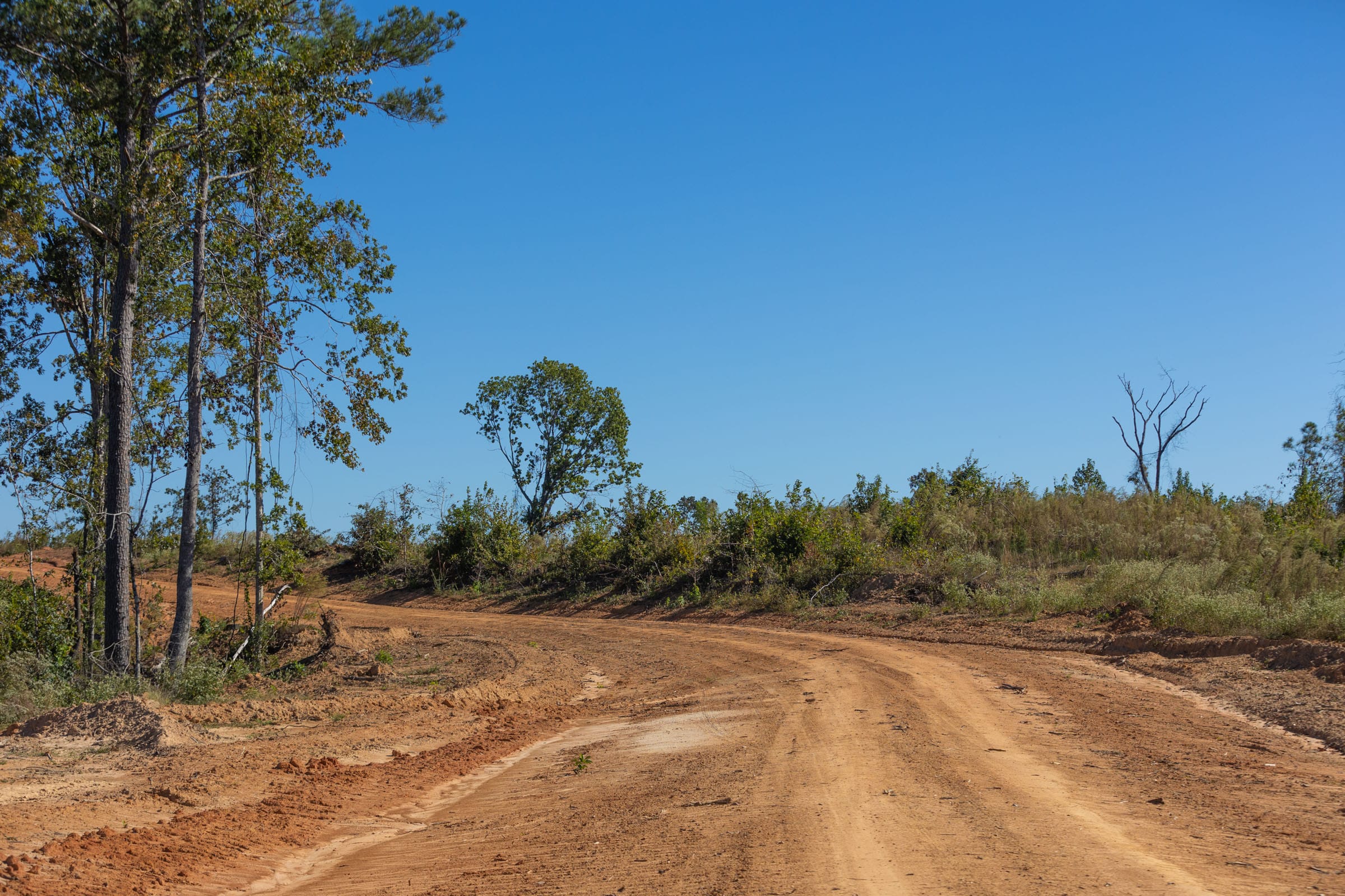 Meyer’s Ridge Tract 19 photo 9