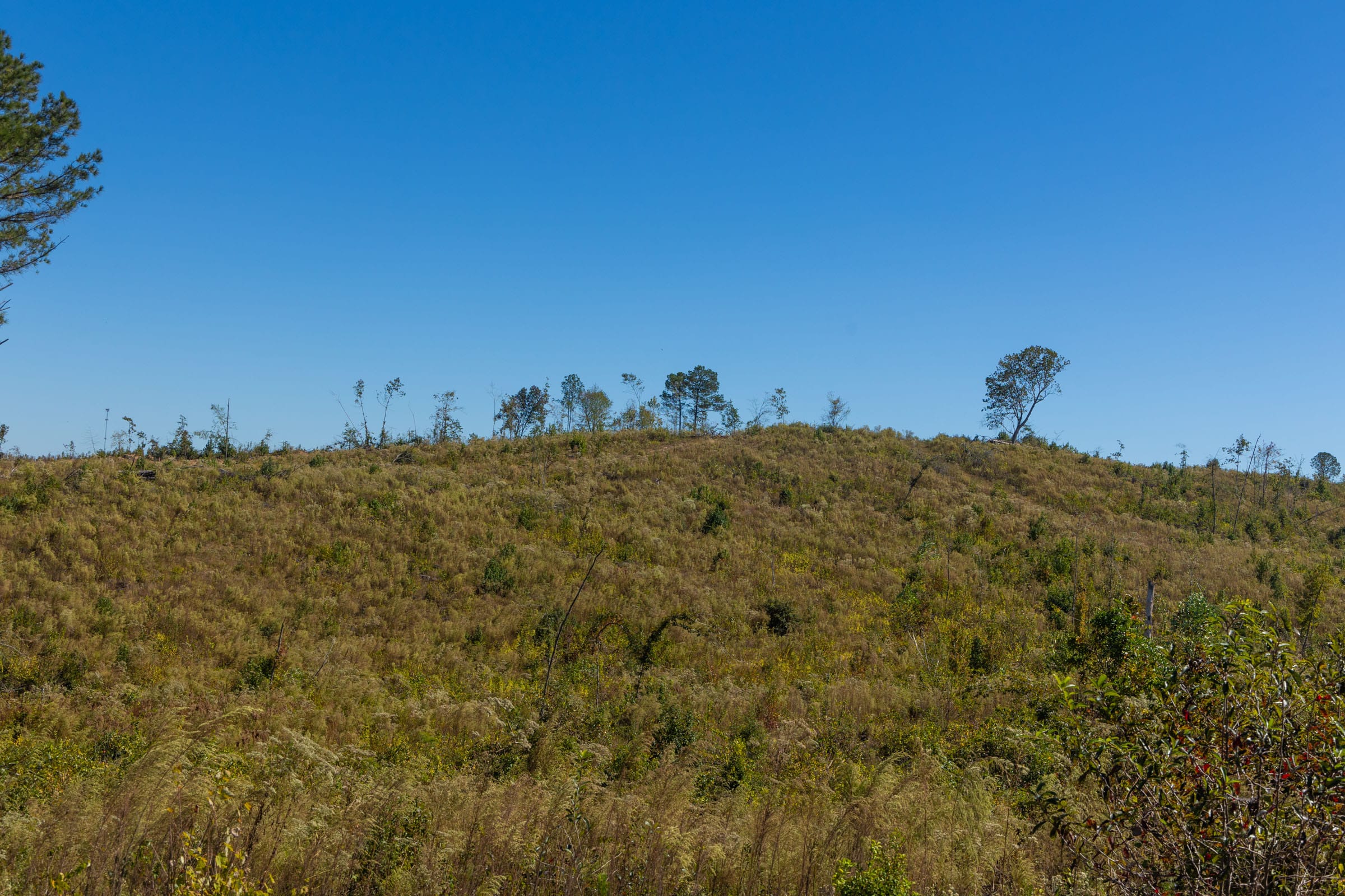 Meyer’s Ridge Tract 19 photo 13