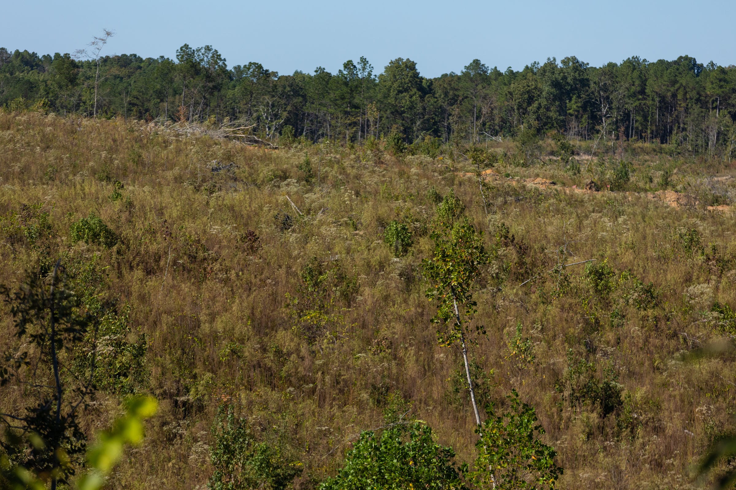 Meyer’s Ridge Tract 19 photo 10