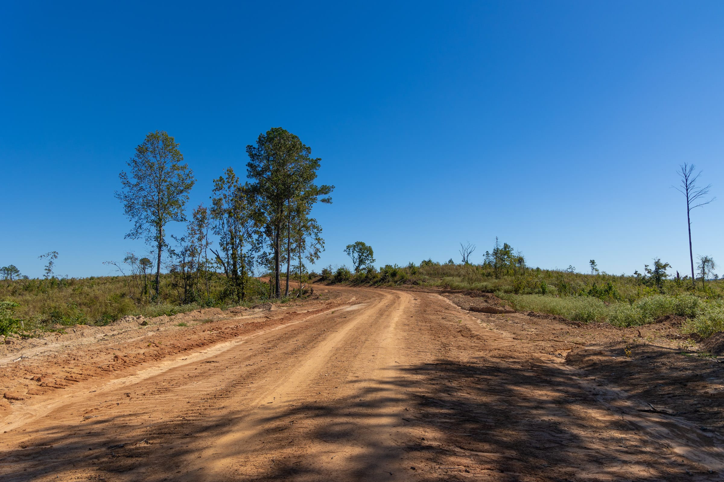 Meyer’s Ridge Tract 19 photo 4