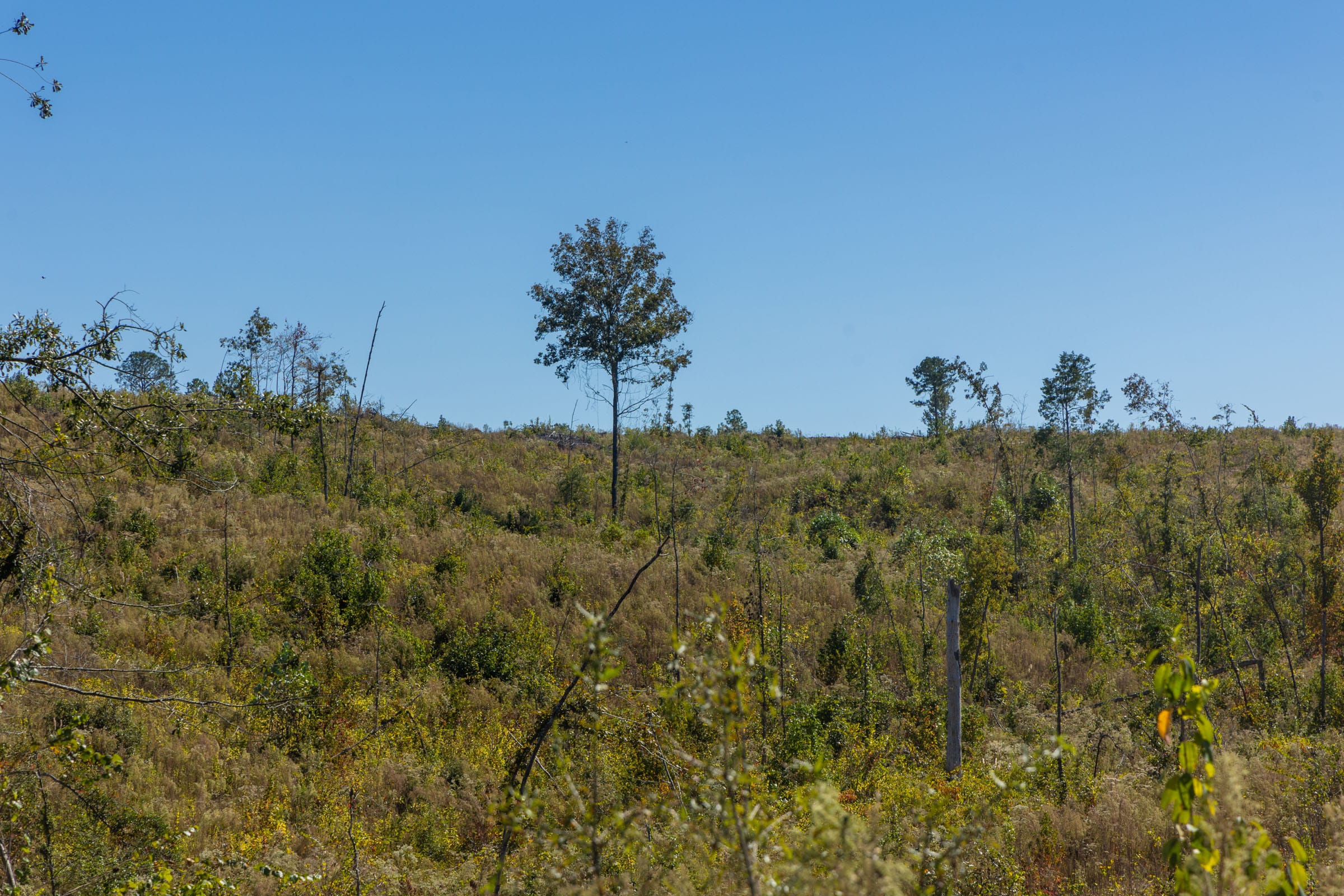 Meyer’s Ridge Tract 19 photo 7