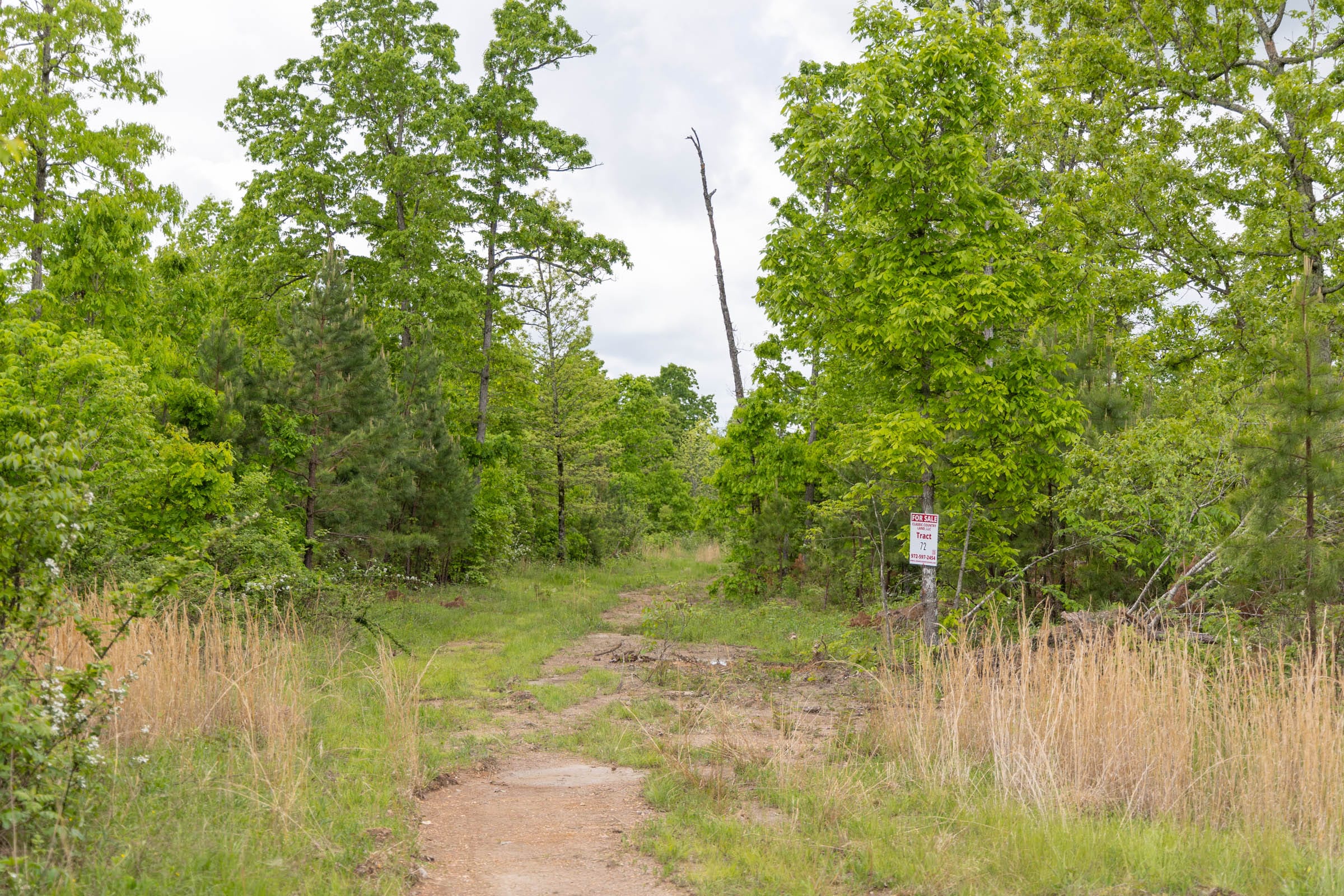 Sleepy Hollow Phase II Tract 72 photo 2