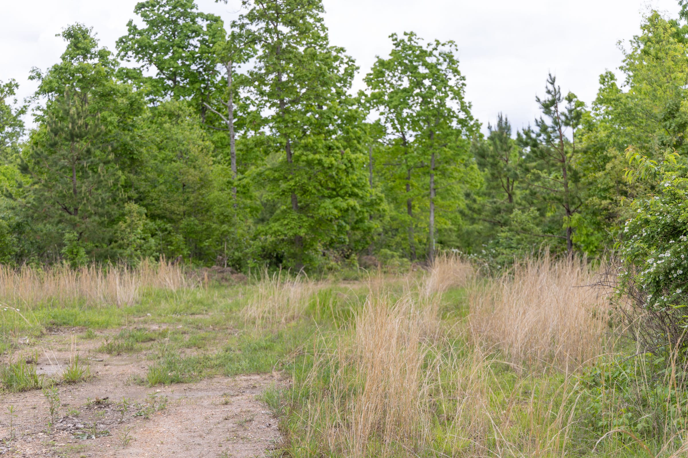 Sleepy Hollow Phase II Tract 72 photo 6