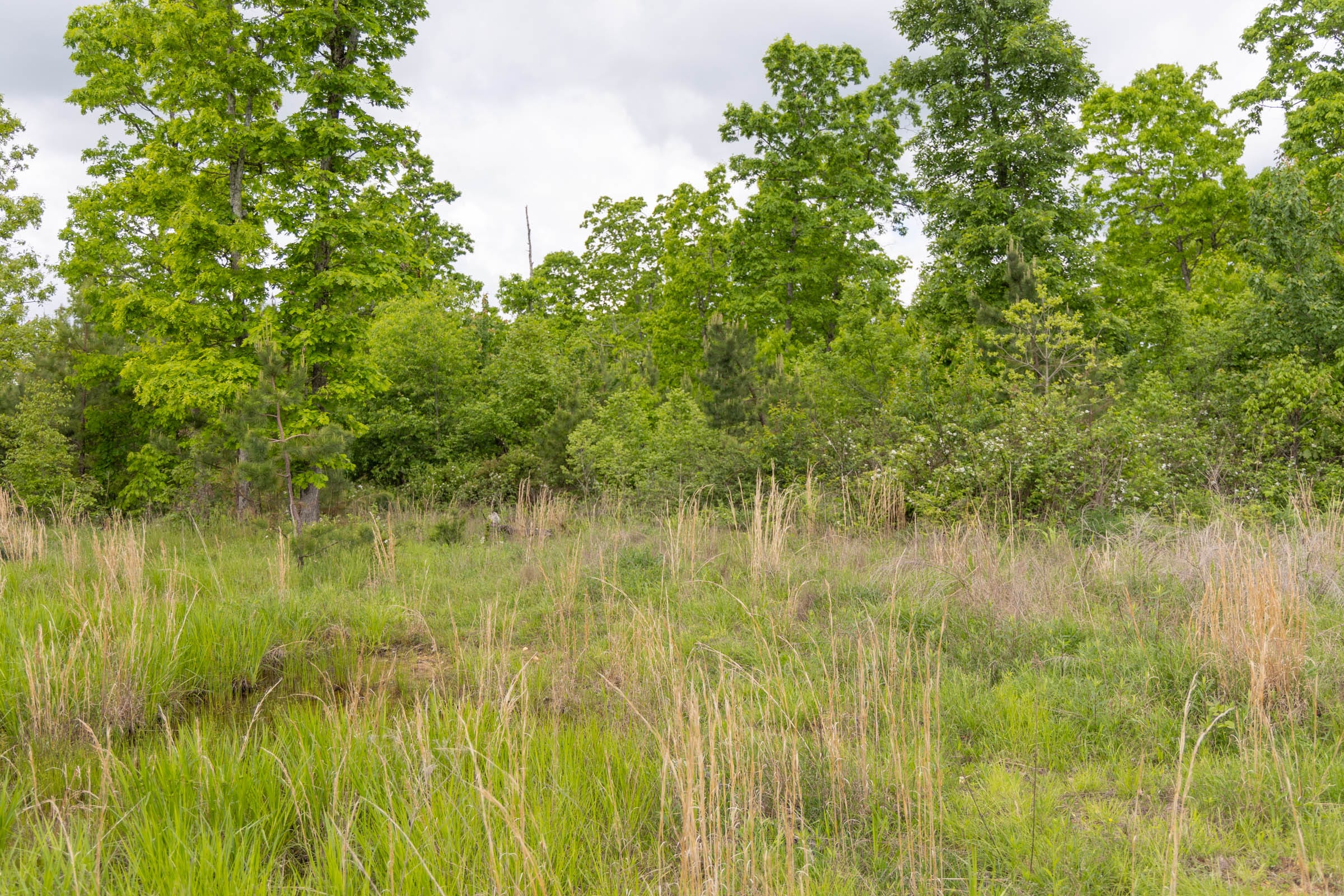 Sleepy Hollow Phase II Tract 72 photo 1