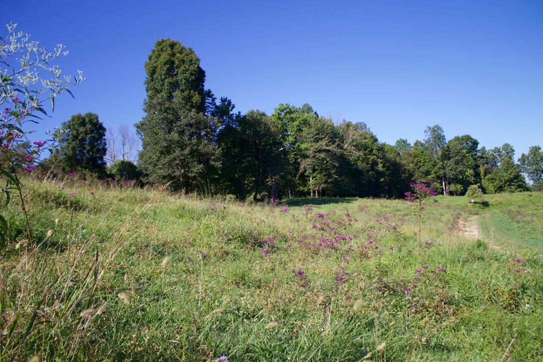 Heritage Hollow Tract 4 photo 2