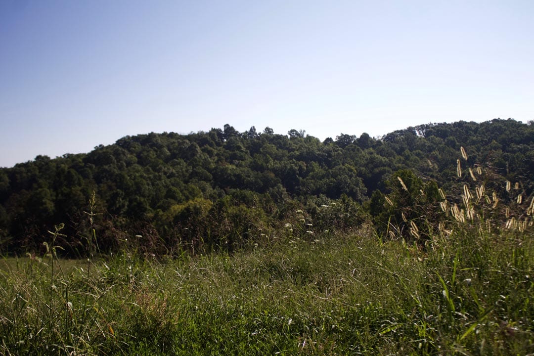 Heritage Hollow Tract 4 photo 4