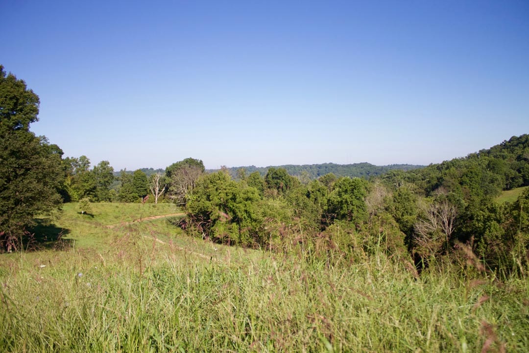 Heritage Hollow Tract 4 photo 7