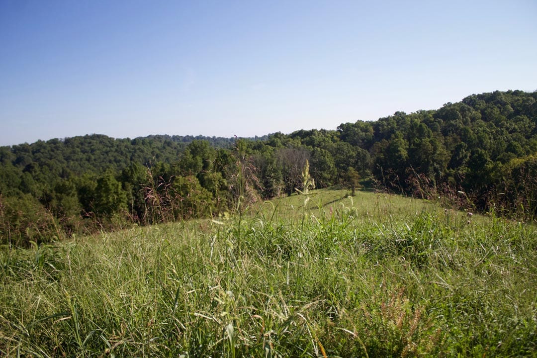 Heritage Hollow Tract 4 photo 8