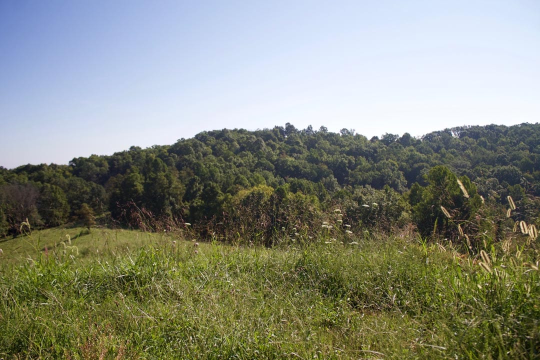 Heritage Hollow Tract 4 photo 9