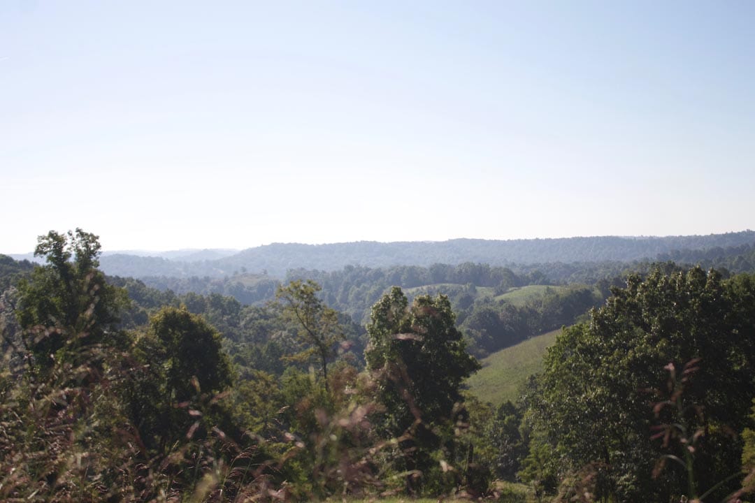 Heritage Hollow Tract 4 photo 10