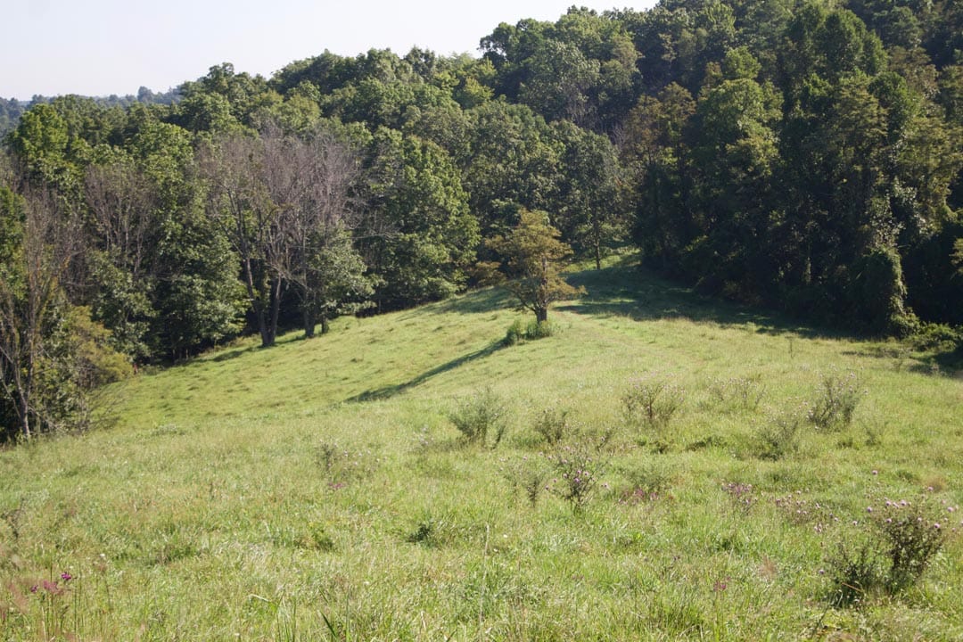 Heritage Hollow Tract 4 photo 12