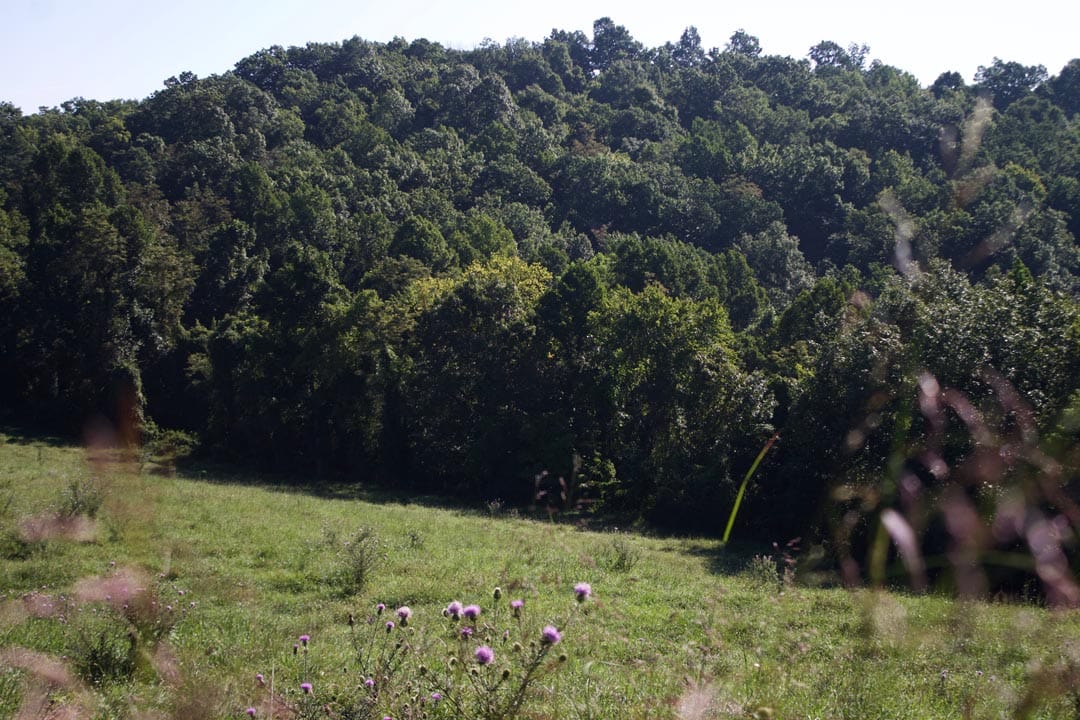Heritage Hollow Tract 4 photo 13