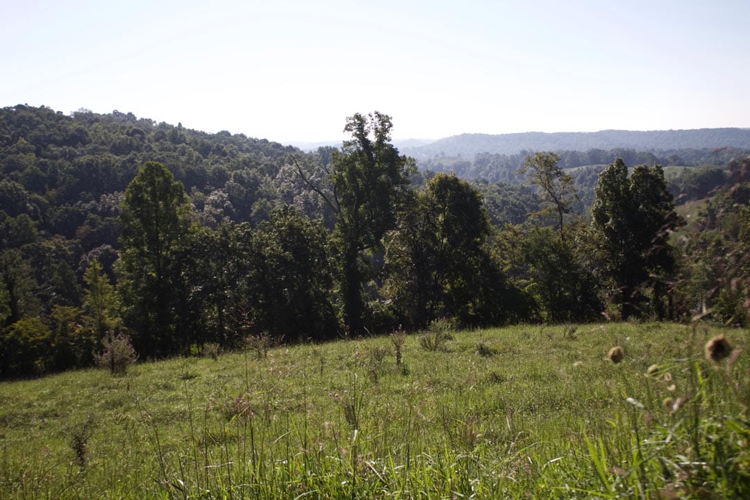 Heritage Hollow Tract 4 photo 14