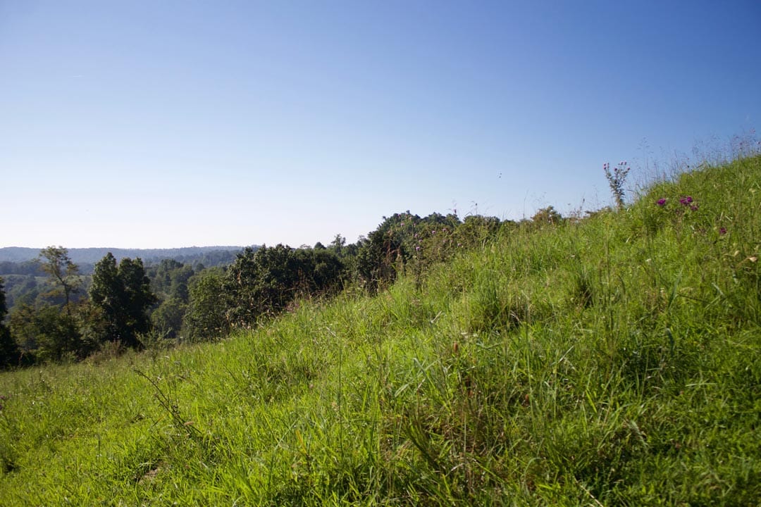 Heritage Hollow Tract 4 photo 15