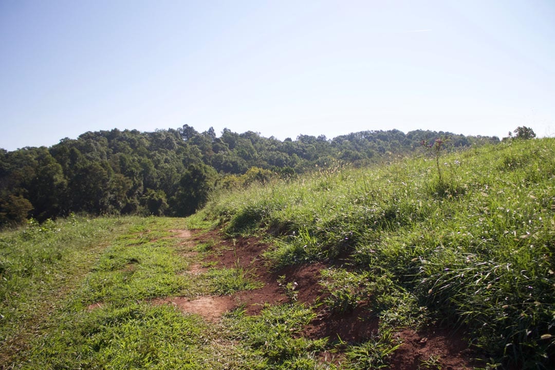 Heritage Hollow Tract 4 photo 17