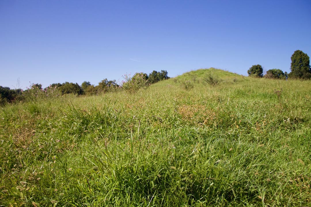 Heritage Hollow Tract 4 photo 18