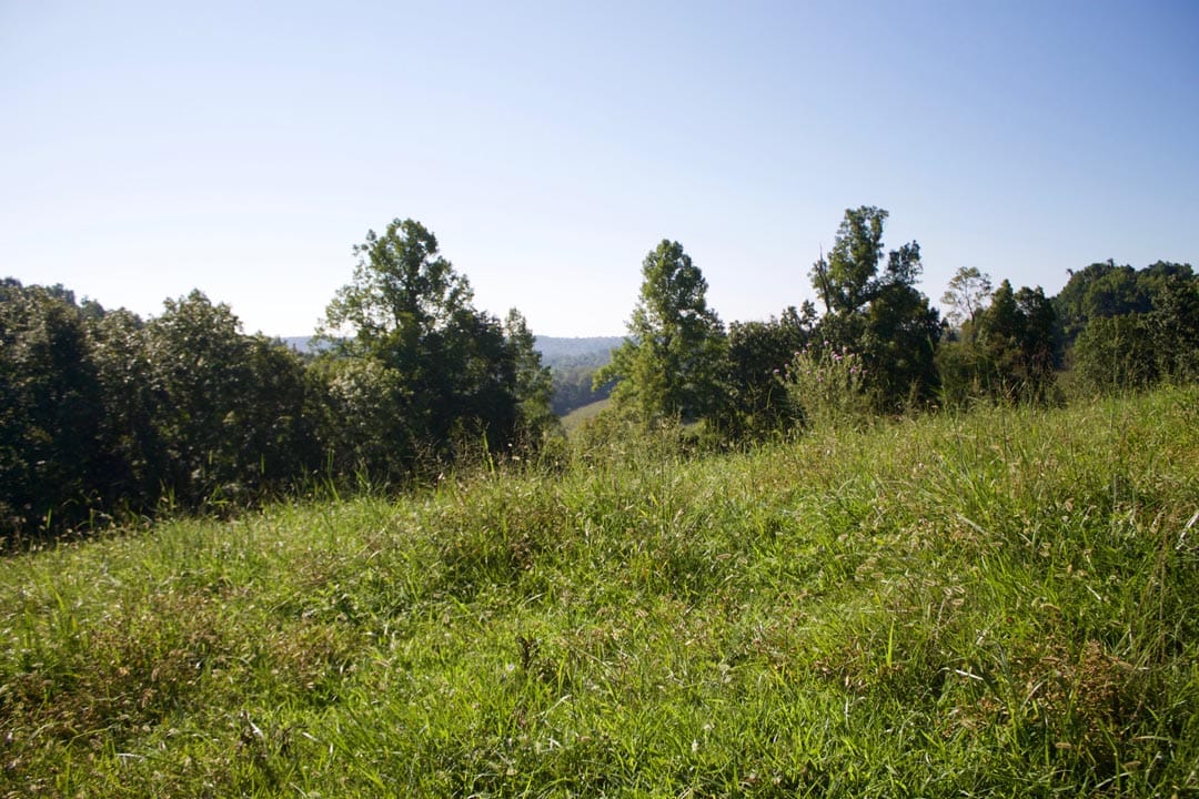Heritage Hollow Tract 4 photo 19