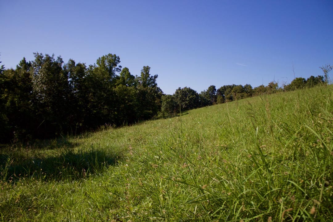 Heritage Hollow Tract 4 photo 20