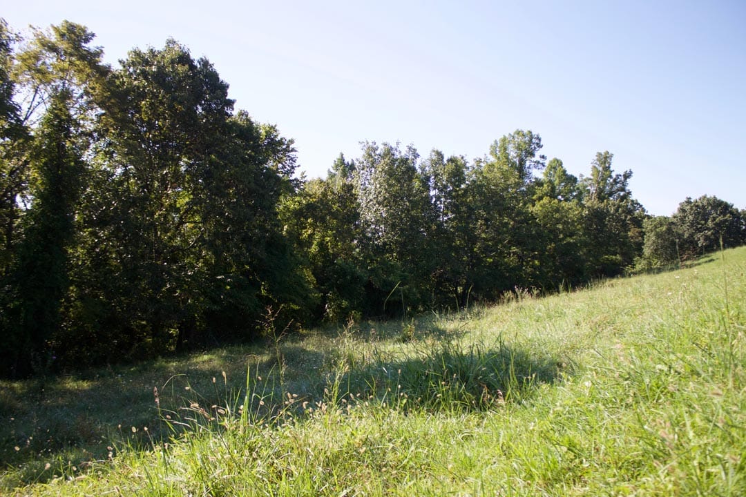 Heritage Hollow Tract 4 photo 21