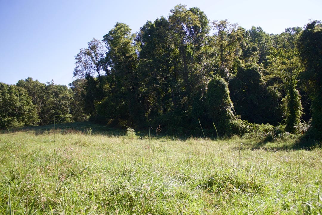 Heritage Hollow Tract 4 photo 22
