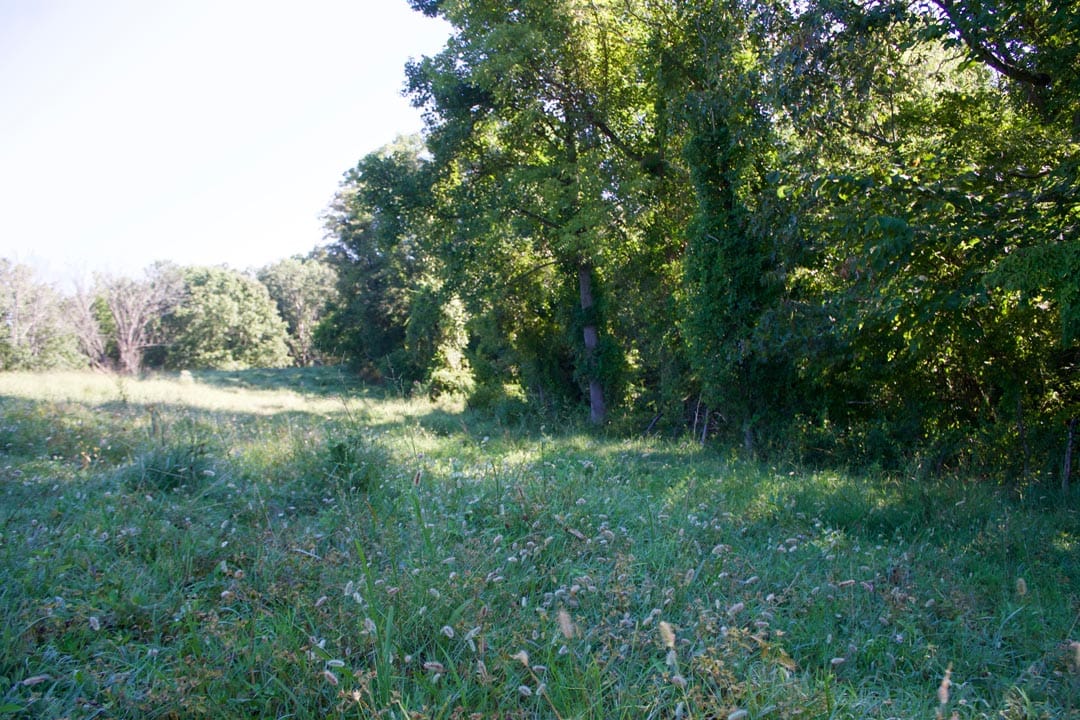 Heritage Hollow Tract 4 photo 23