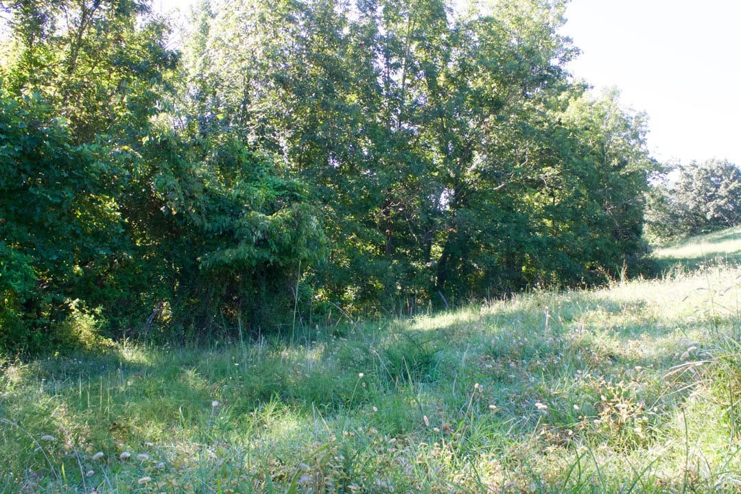 Heritage Hollow Tract 4 photo 24