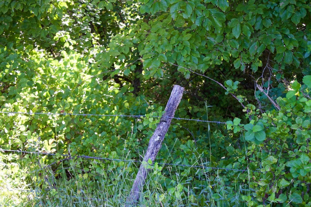 Heritage Hollow Tract 4 photo 25