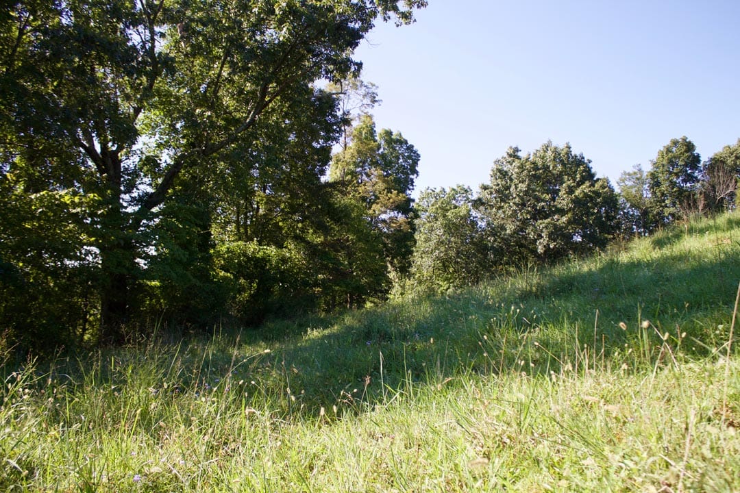 Heritage Hollow Tract 4 photo 26