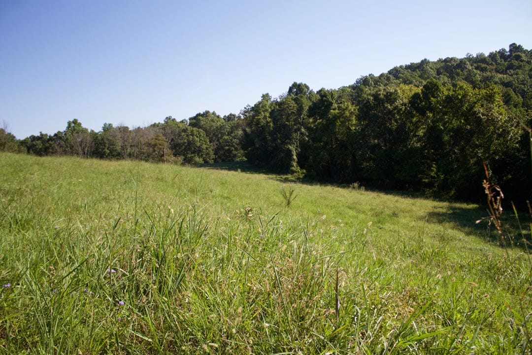 Heritage Hollow Tract 4 photo 28