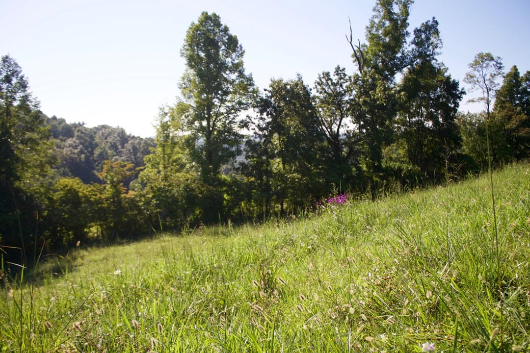 Heritage Hollow Tract 4 photo 29