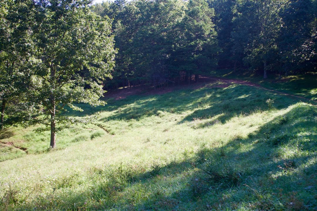 Heritage Hollow Tract 4 photo 30