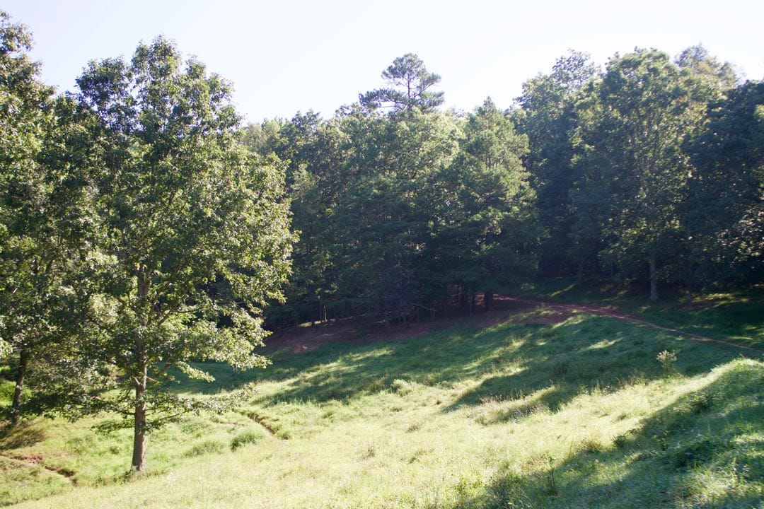 Heritage Hollow Tract 4 photo 31
