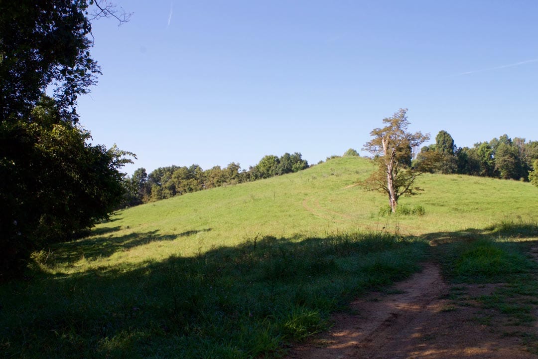 Heritage Hollow Tract 4 photo 32