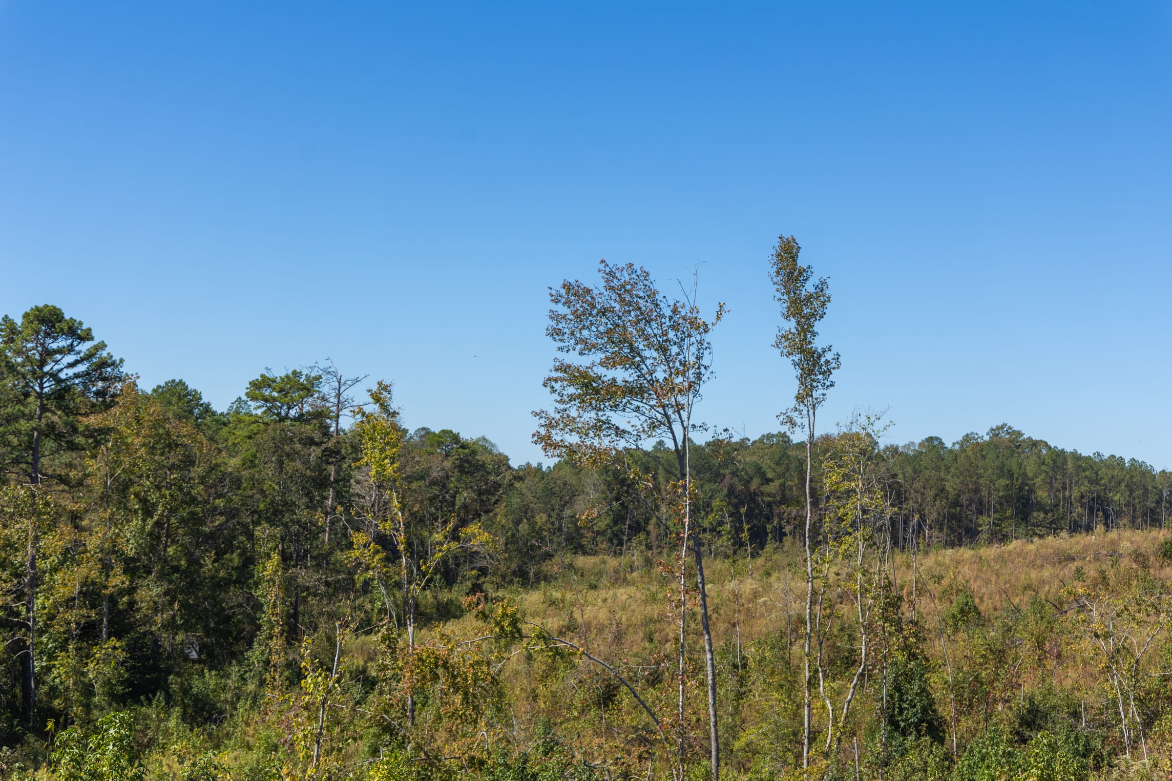 Meyer’s Ridge Tract 5 photo 15