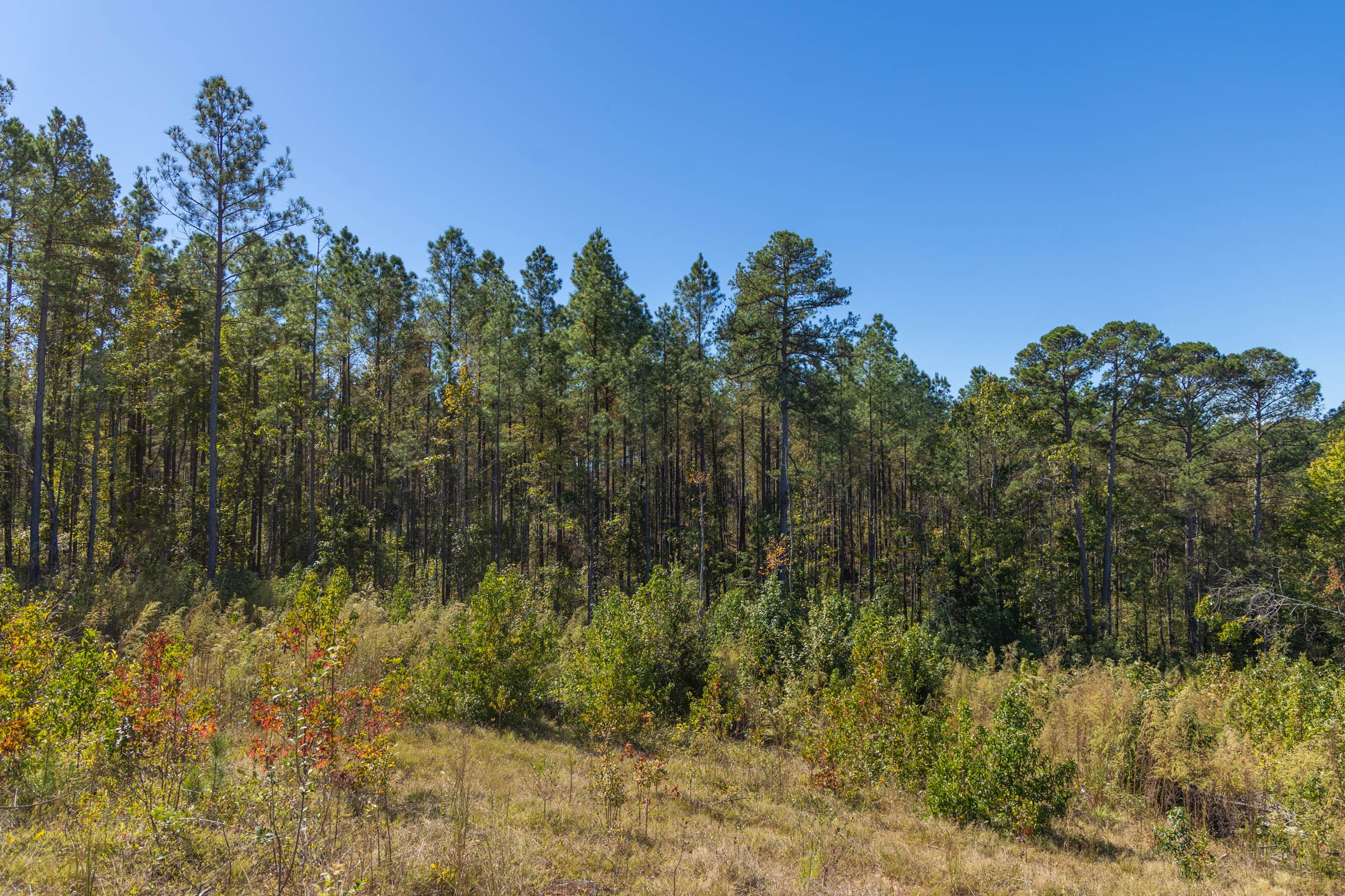 Meyer’s Ridge Tract 5 photo 11