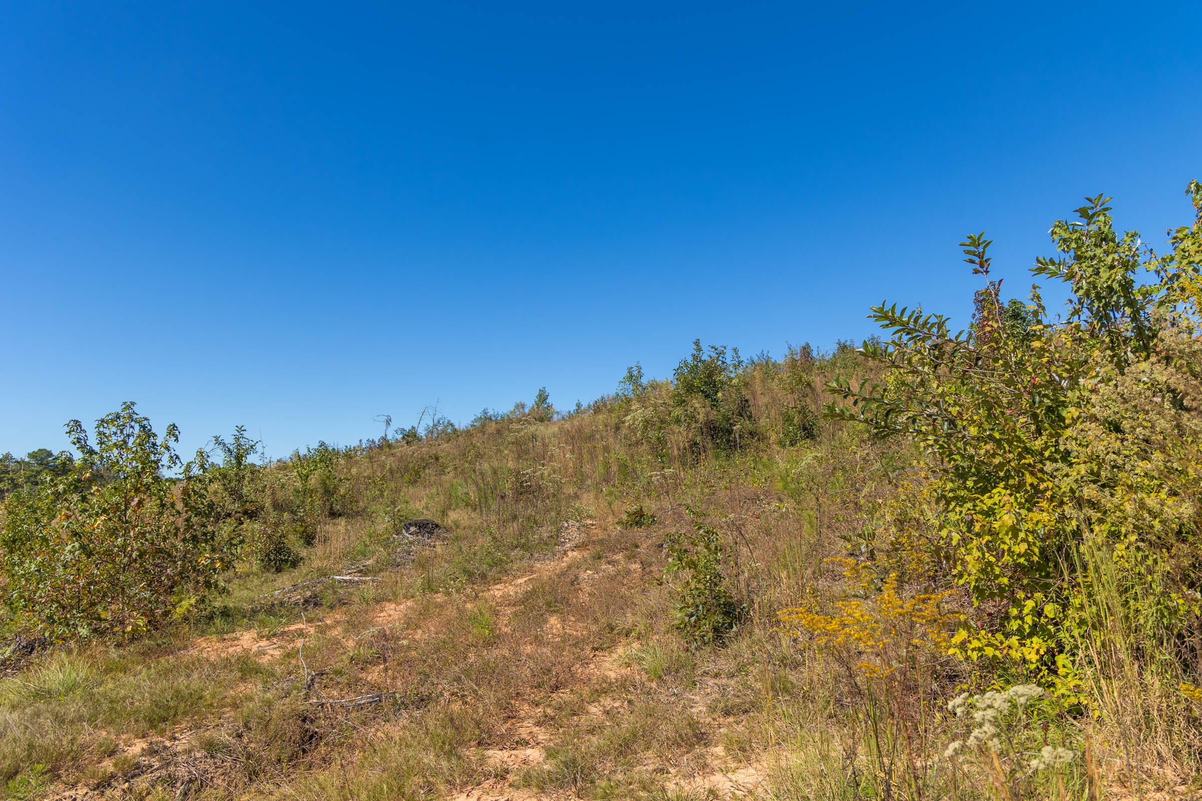 Meyer’s Ridge Tract 5 photo 9
