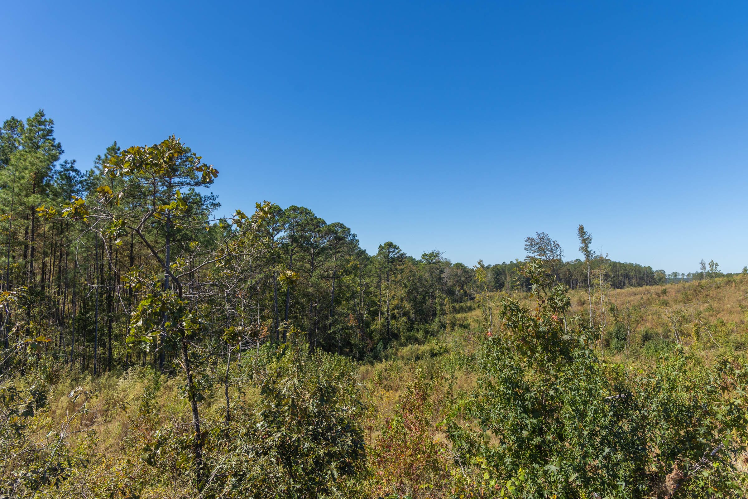 Meyer’s Ridge Tract 5 photo 5