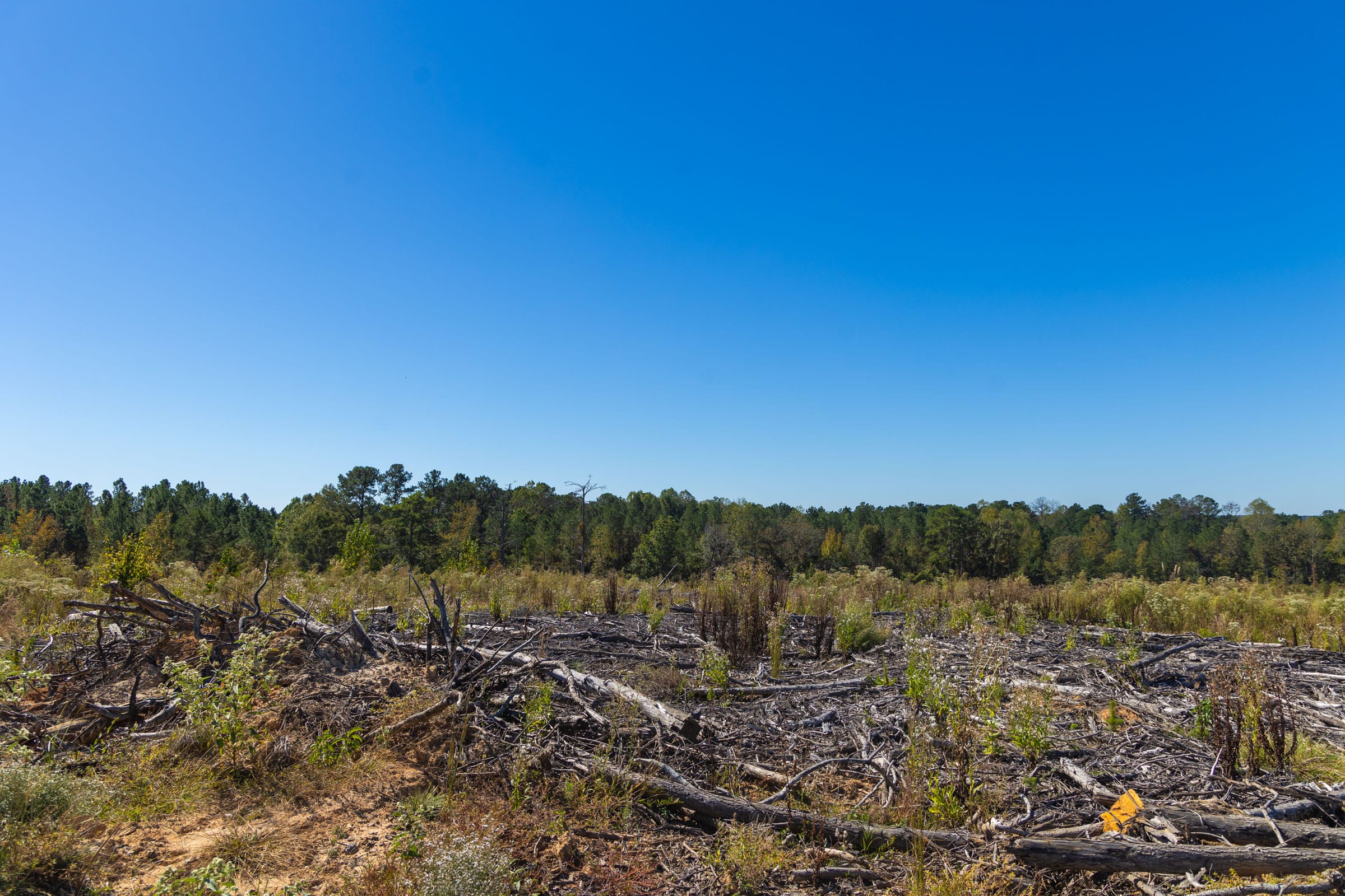 Meyer’s Ridge Tract 5 photo 4