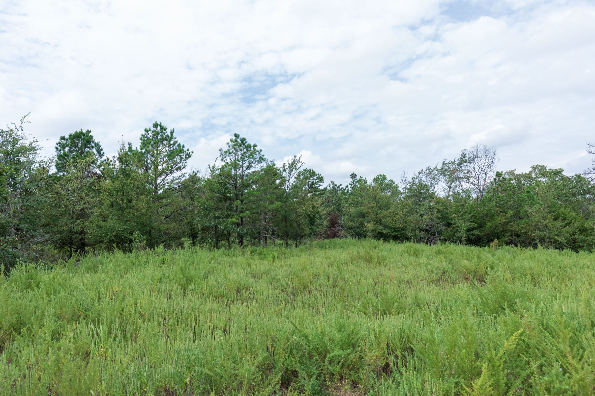Stone Bridge Phase V Tract 328 photo 8