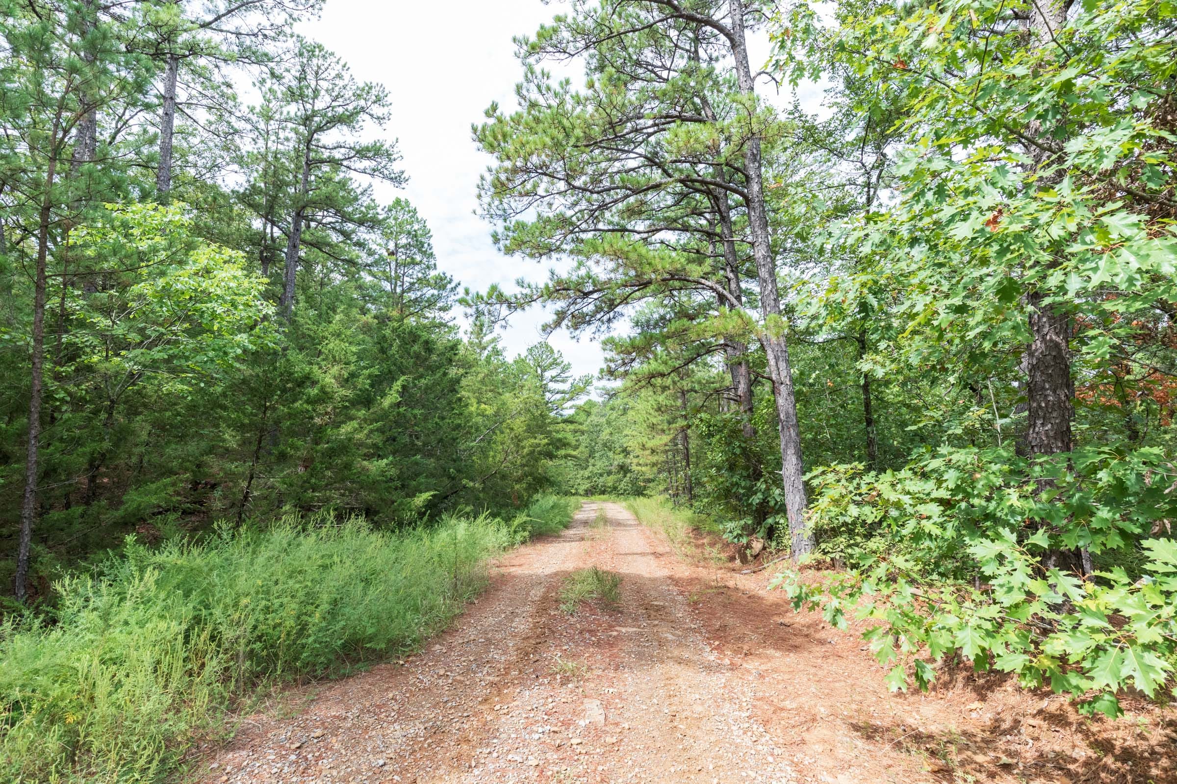 Stone Bridge Phase V Tract 328 photo 1
