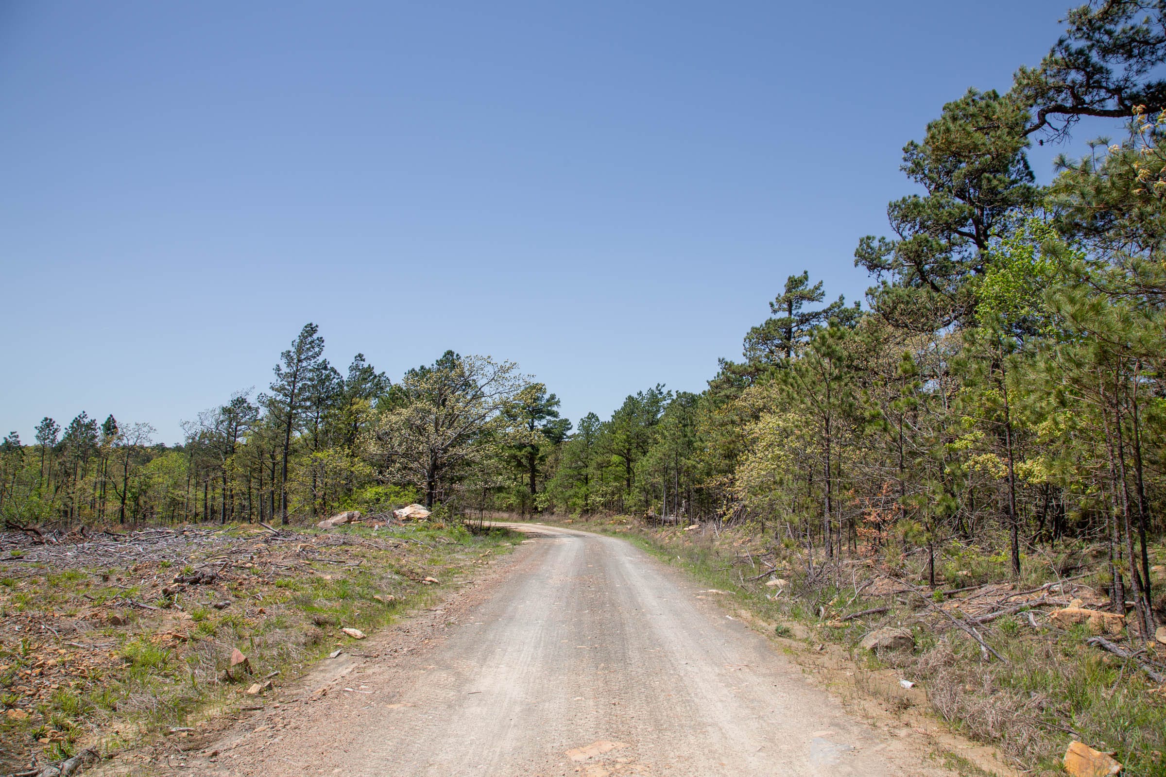Eagle’s Nest Tract 6 photo 2