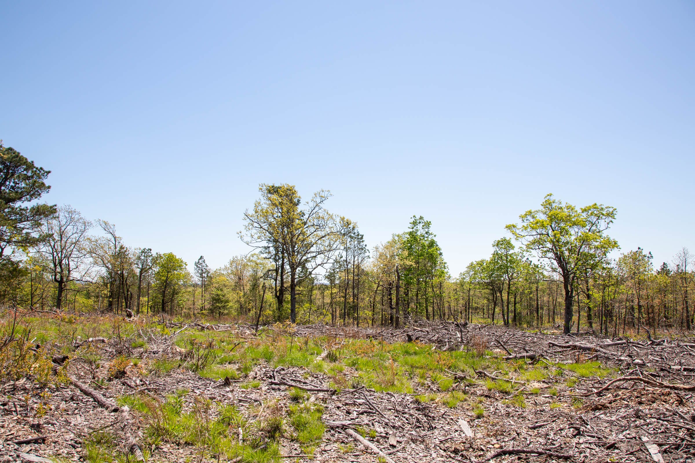 Eagle’s Nest Tract 6 photo 3